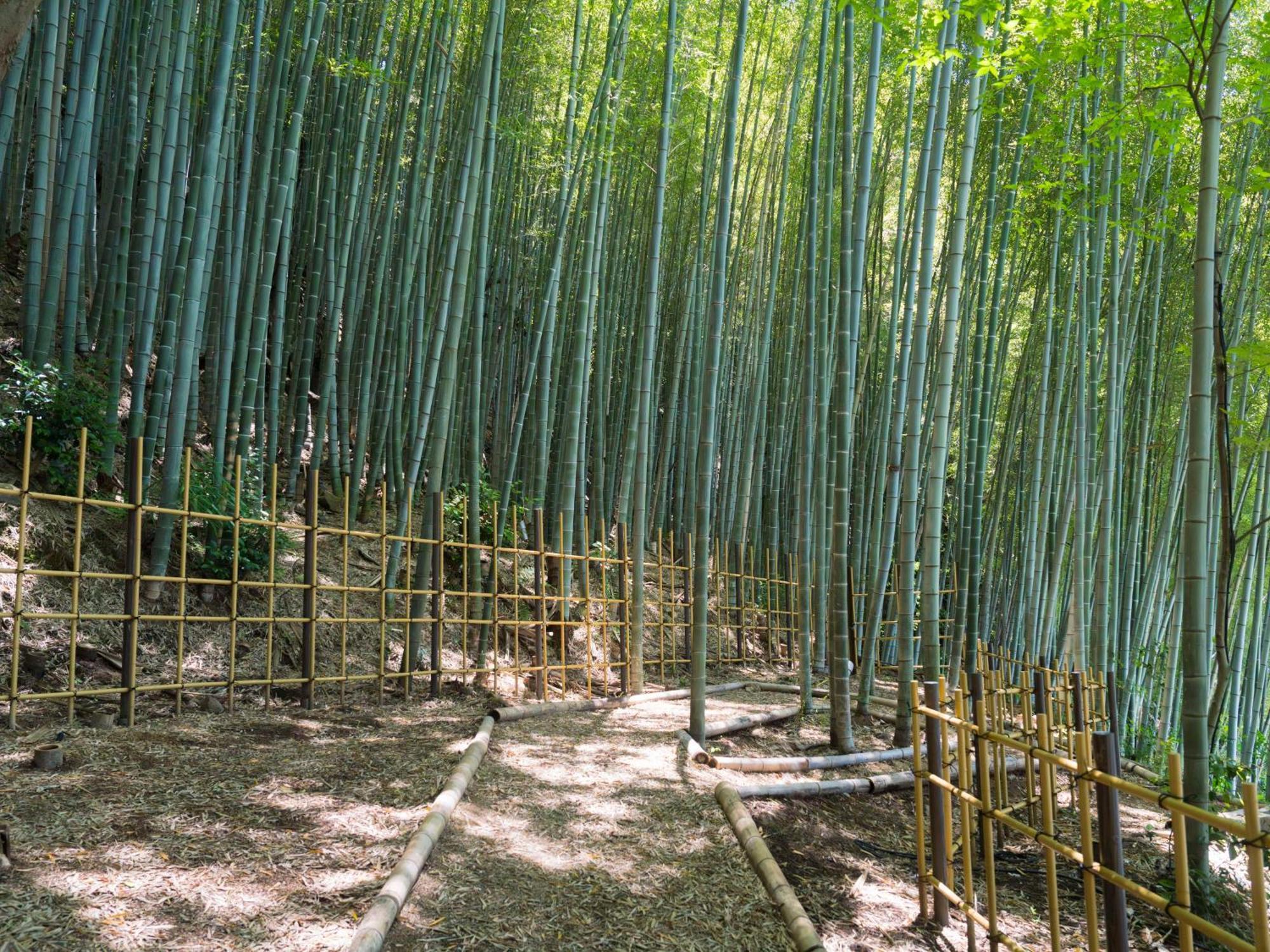 Hotel Banyan Tree Higashiyama Kjóto Exteriér fotografie